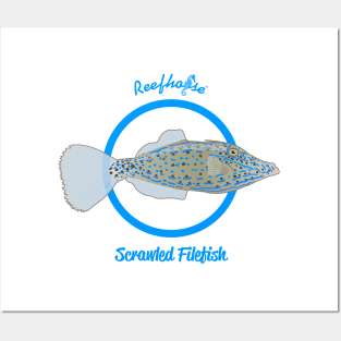 Scrawled Filefish Posters and Art